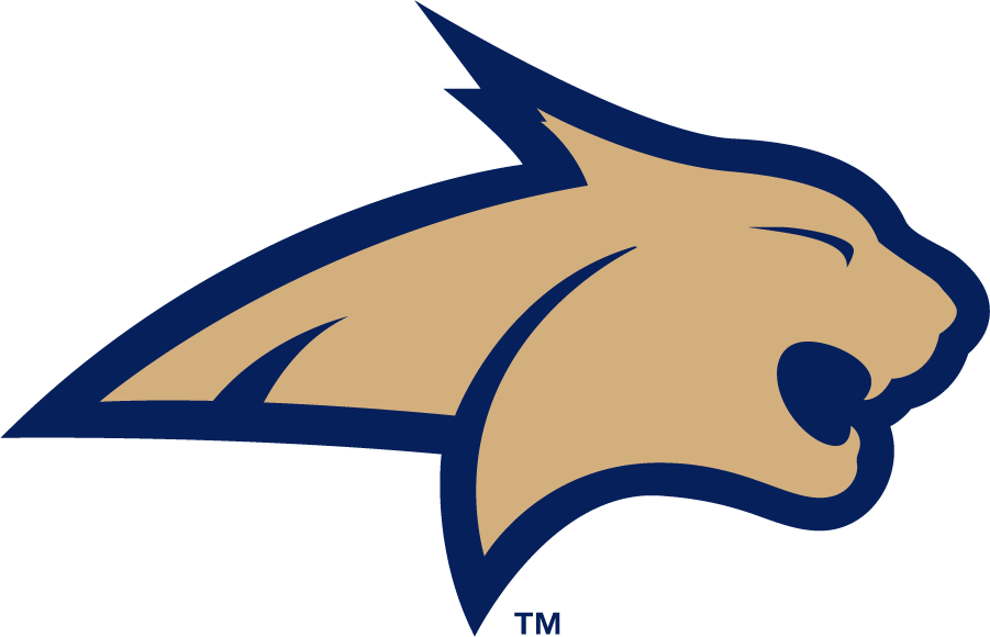 Montana State Bobcats 2006-2013 Primary Logo diy iron on heat transfer